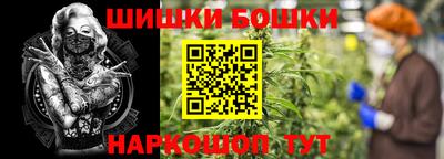 гашик Нальчик
